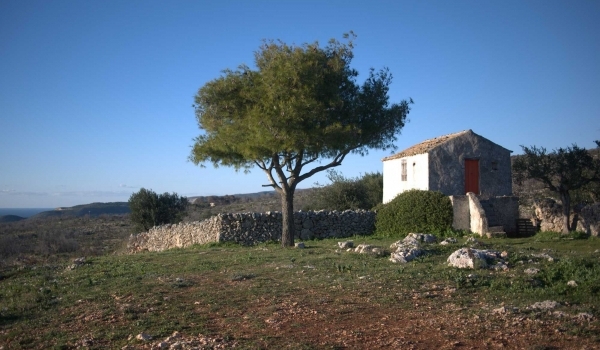 Villa Roxa