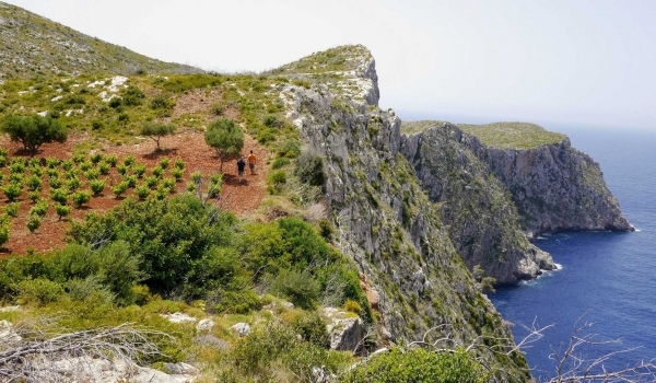 Villa Roxa