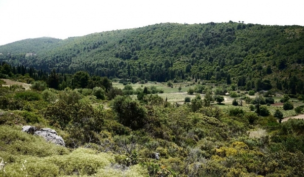 Villa Roxa